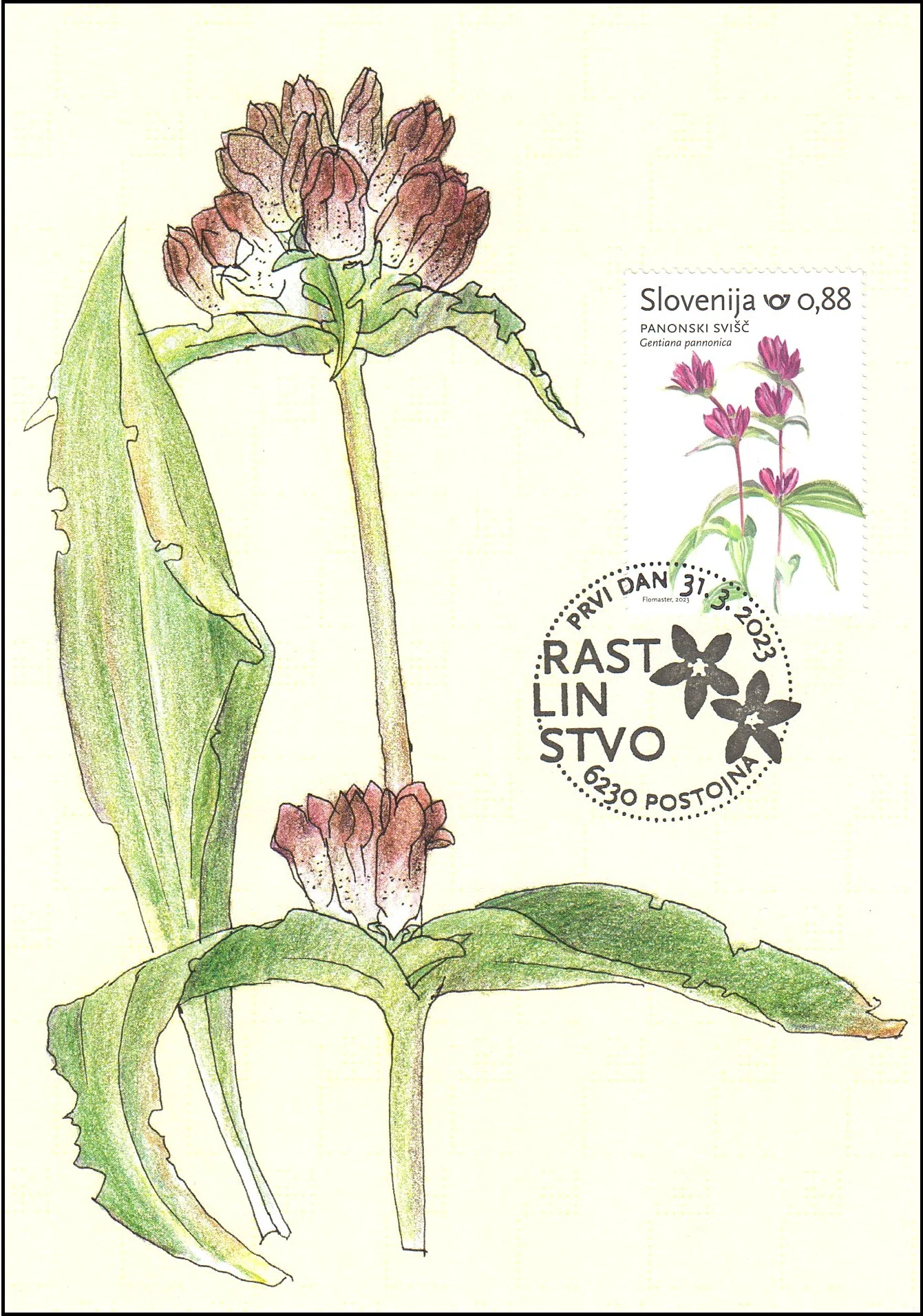 RASTLINSTVO PRVI DAN